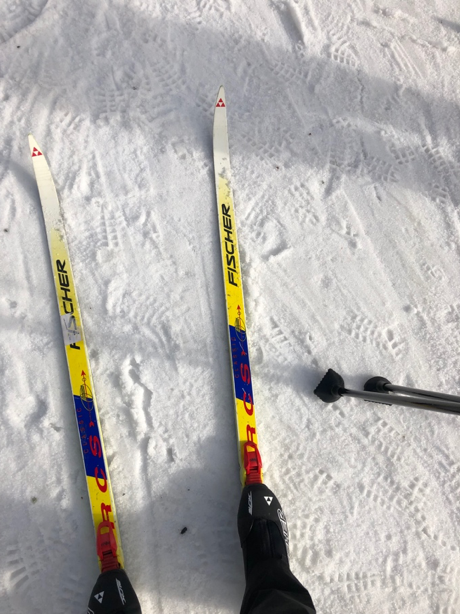 Cross-country skiing outside Oslo