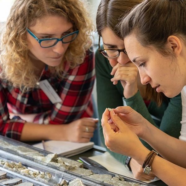 IODP lab turn: Participants describe cores acquired from hard rock environment